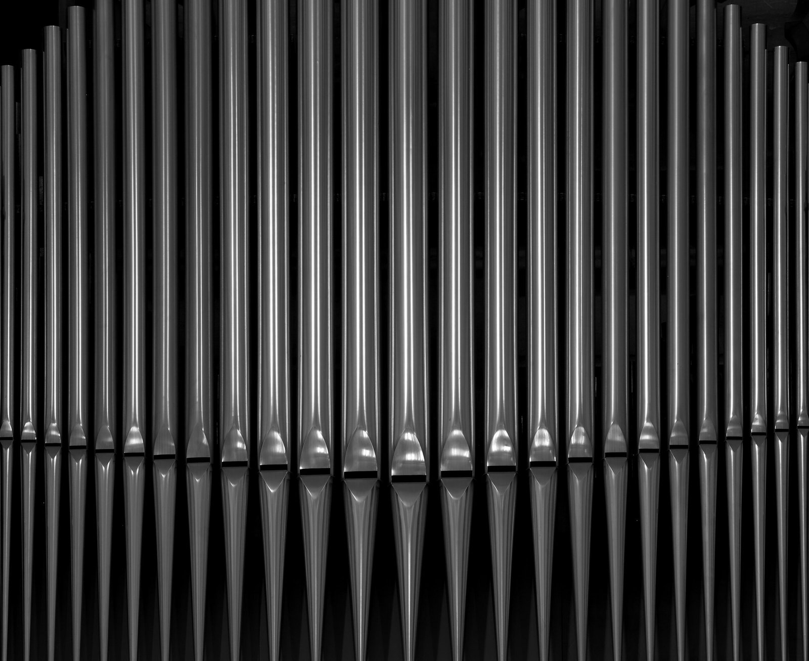 Orgue de Notre-Dame-de-la-Treille - Lille.