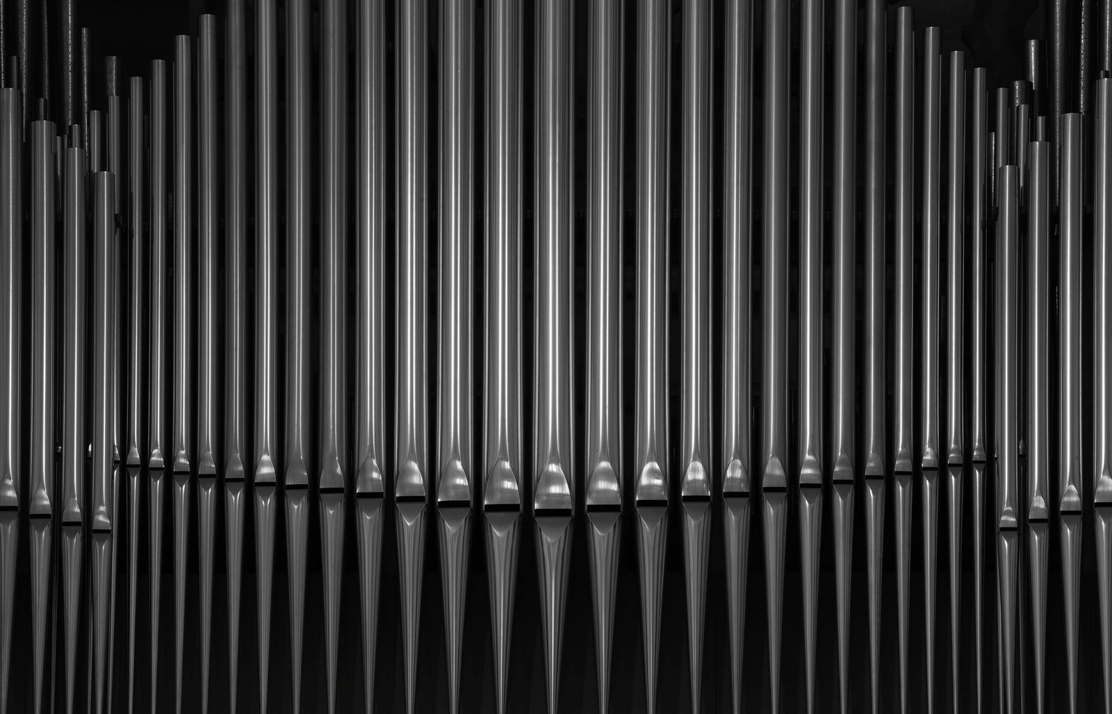 Orgue de Notre-Dame-de-la-Treille - Lille.