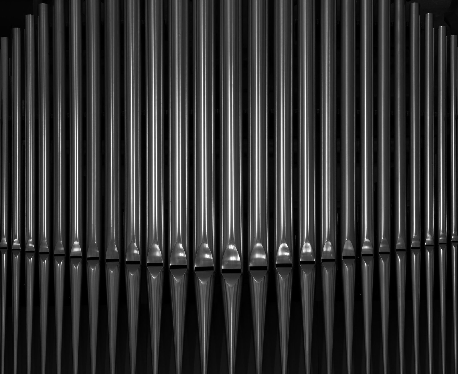 Orgue de Notre-Dame-de-la-Treille - Lille.